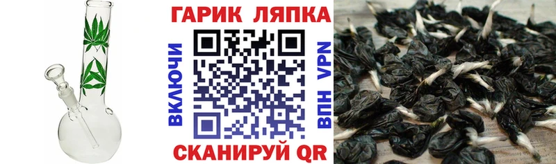 Гашиш Изолятор  Олёкминск 