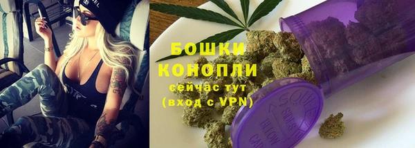 ГАЛЛЮЦИНОГЕННЫЕ ГРИБЫ Гусиноозёрск