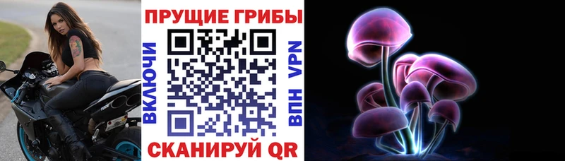 цены наркотик  Олёкминск  Галлюциногенные грибы Psilocybe 